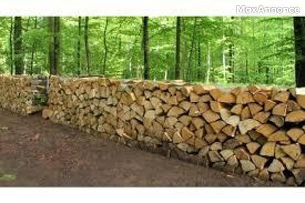 Bois de chauffage 