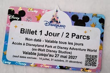 Billets Disneyland Paris 1 Jour / 2 Parcs Non Datés 