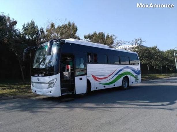 Bus Shaolin Brand New 