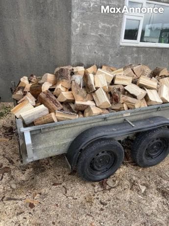 Bois de chauffage 100% sec et dur