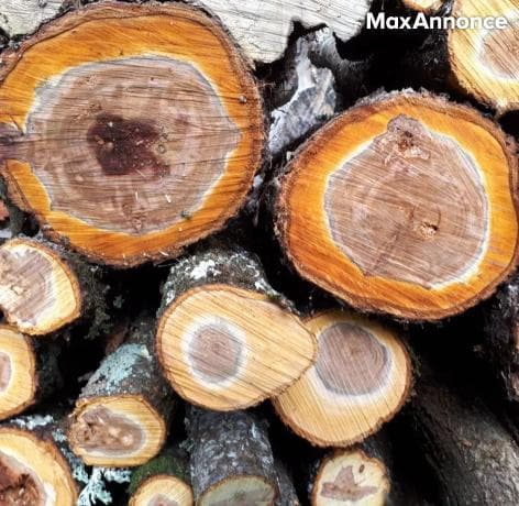 Bois de chauffage 