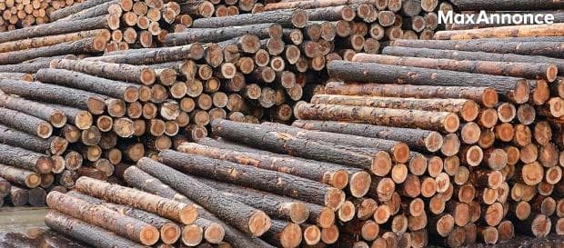  bois de chauffage sec