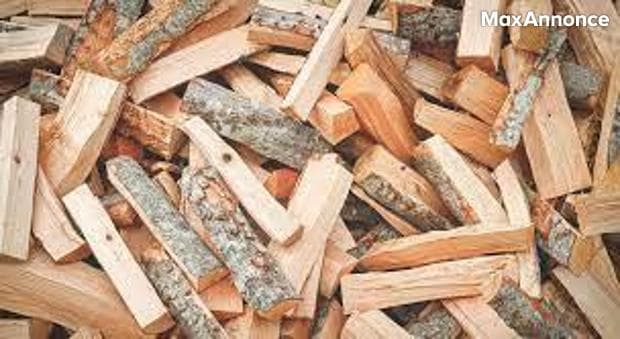 Vend bois de chauffage de qualité