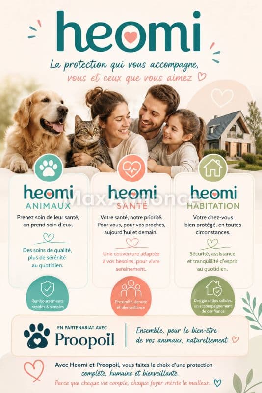 ✨ Besoin d’une assurance simple, humaine et rassurante ? ✨