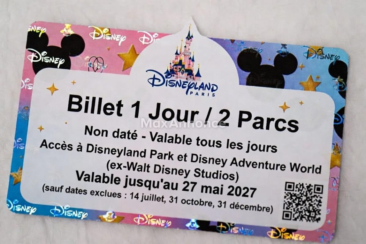 Billets Disneyland Paris 1 Jour / 2 Parcs Non Datés 