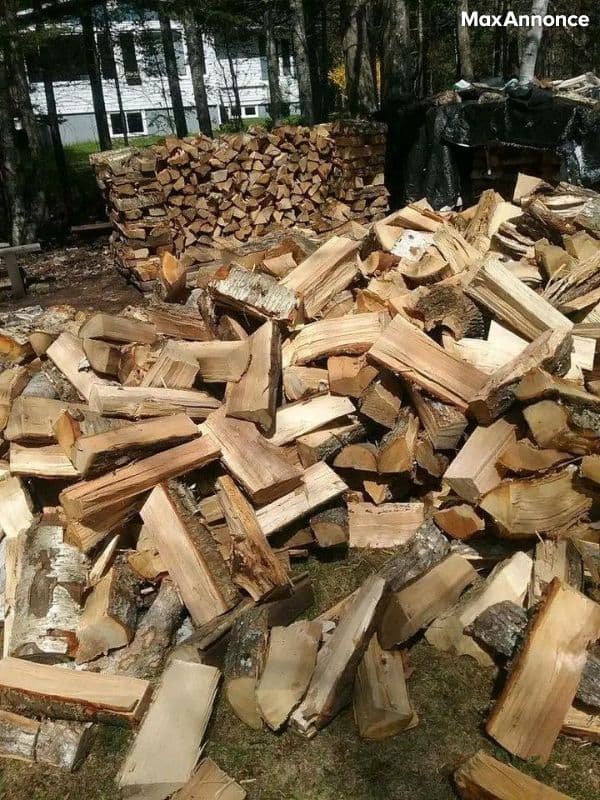 Bois de chauffage 
