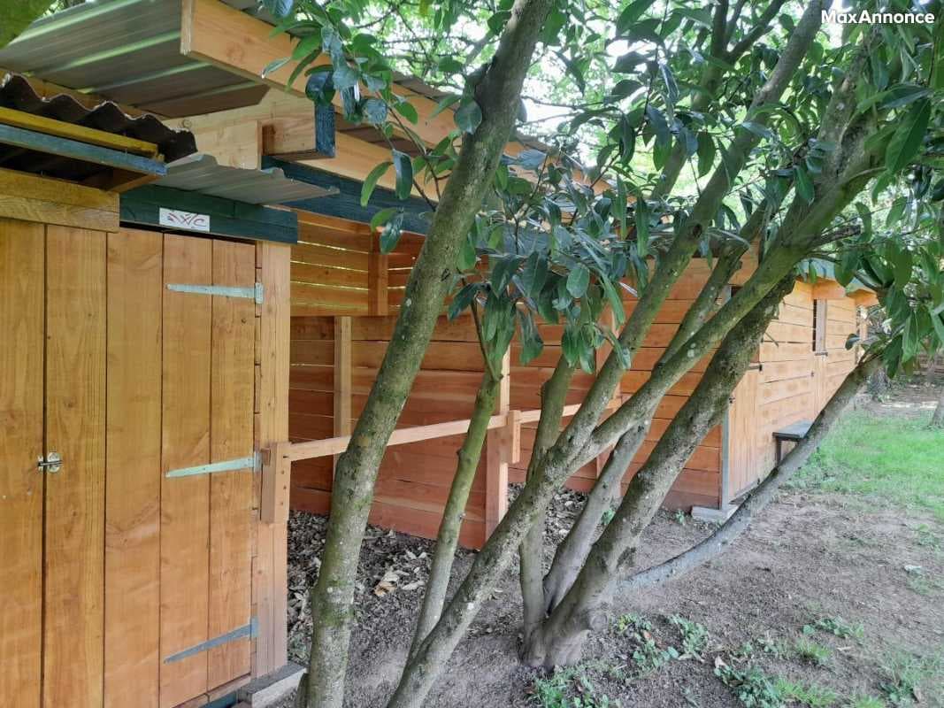 BOX STALLES PADDOK POUR CHEVAUX OU PONEY 