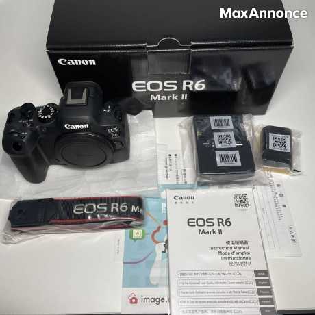 Canon EOS R6 Mark II, Canon R3, Canon R5, Nikon Z8, Nikon Z9
